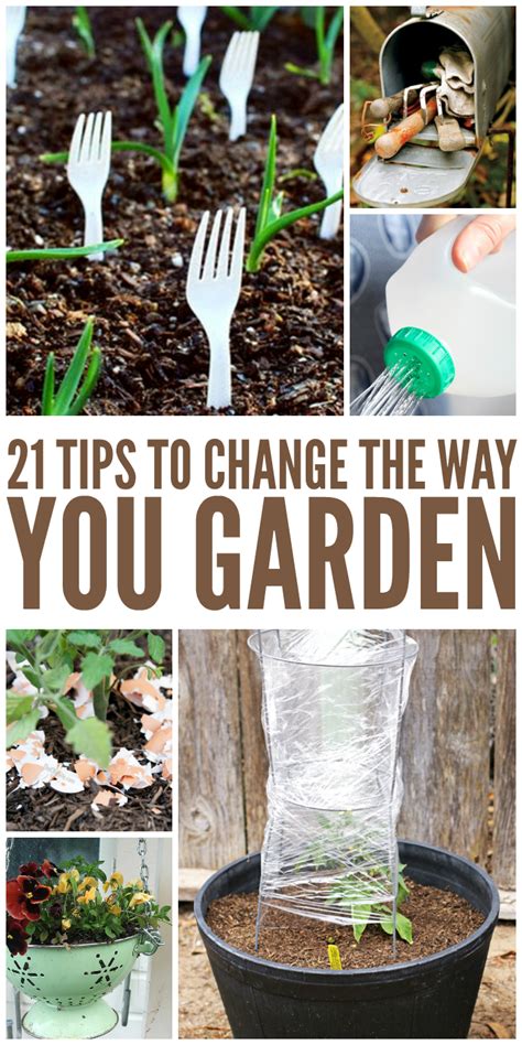 21 Tricks That Will Change the Way You Garden