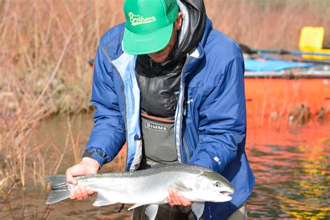 Sandy River Winter Steelhead Fishing Trip | Little Creek Outfitters & Guide