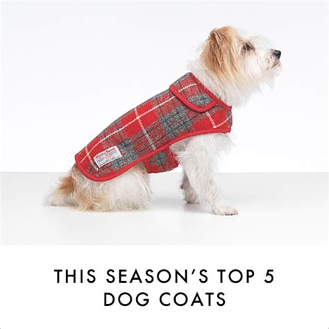 5 Top Winter Dog Coats | Love My Dog