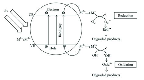 The basic mechanism of photocatalysis [23]. | Download Scientific Diagram