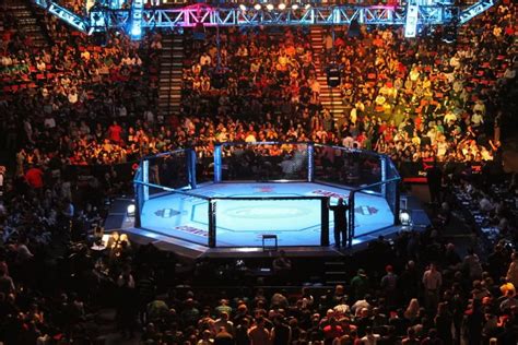 Ultimate Fighting Championship (UFC) — McMUN 2025