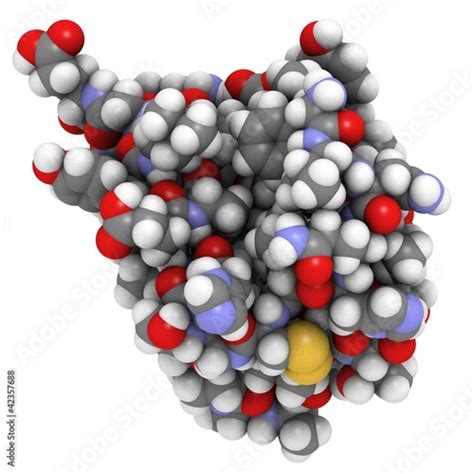 Insulin molecule Stock Illustration | Adobe Stock