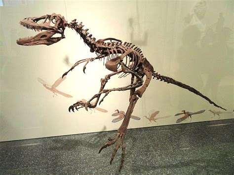 Deinonychus | Extinct Animals