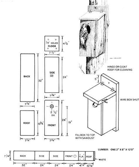 Northern Flicker Nest Box - Flickers are excavators and are most likely ...