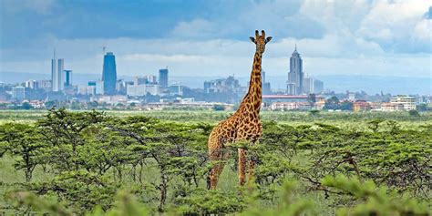 Nairobi National Park