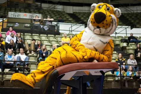 Just chillin! Truman, the Mizzou Tiger Mascot! | Mizzou tigers ...