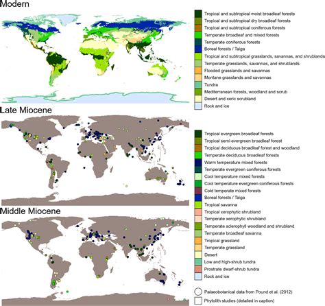 Miocene Epoch Map