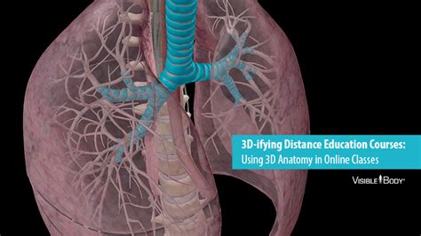 3D-ifying Distance Education Courses: Using 3D Anatomy in Online Classes