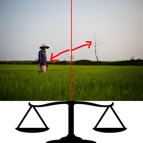 Understanding Balance in Photography | picsofasia