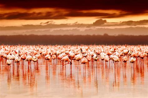 Location of The Cliff Nakuru - Lake Nakuru National Park, Kenya