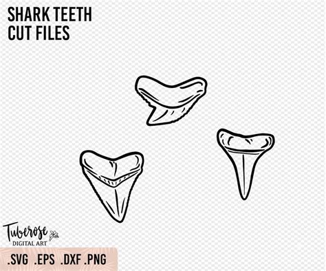 Shark Teeth Outline