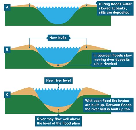 Levee Diagrams - Wiring Diagram Pictures