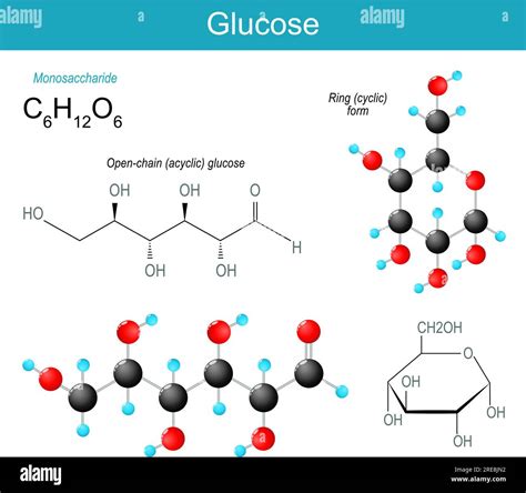 Sugar Molecular Structure