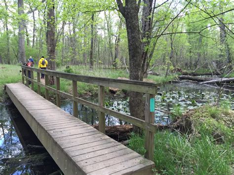 Hike Algonkian Regional Park to Difficult Run: A Trail Through Nature’s Wonders – MustDoThings.com