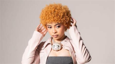 A Comprehensive Guide to Ice Spice Hairstyles – Hermosa Hair