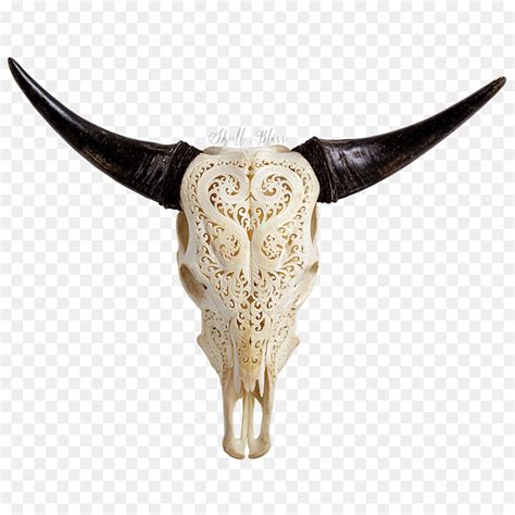 Free Longhorn Skull Silhouette, Download Free Longhorn Skull Silhouette ...