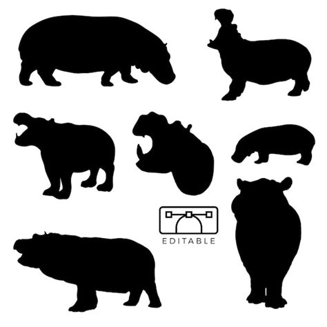 Premium Vector | Hippopotamus Silhouette