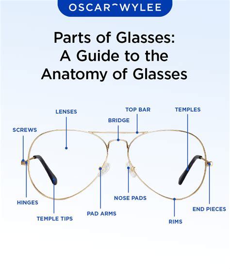 Parts of Glasses: Guide Anatomy of Glasses