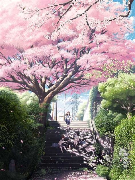 Cherry Blossom Tree | Tree illustration, Sakura tree, Anime cherry blossom