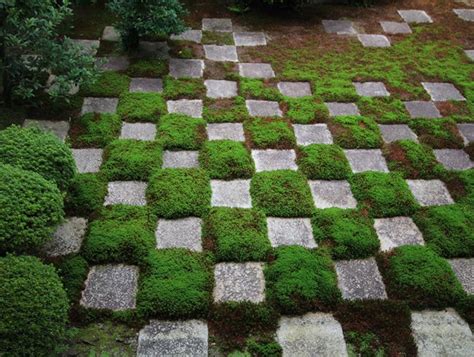 Using Moss as a Design Element | Garden Design