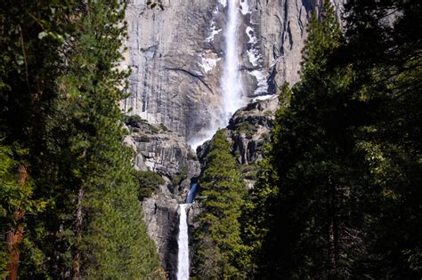 Best Winter Hiking Trails in Yosemite Valley | White Wolf Private Tours