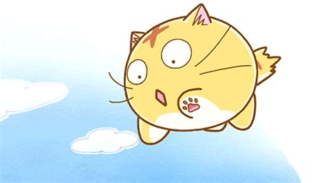 Cat Animated GIF