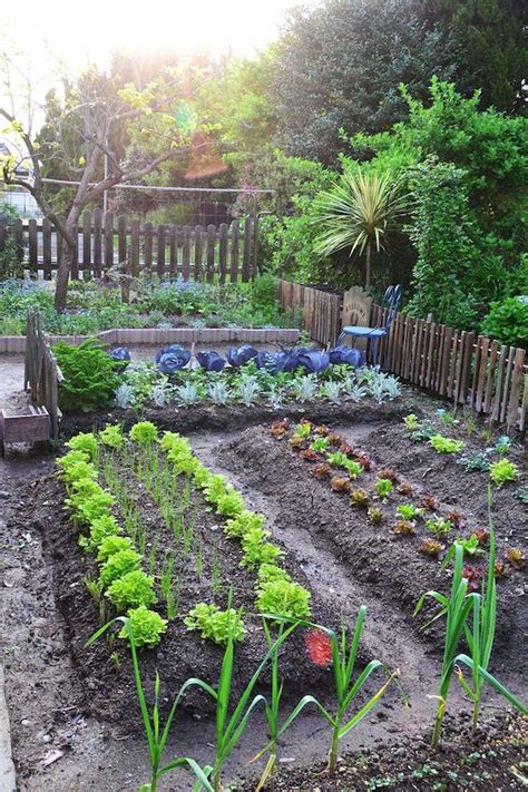 Épinglé par Komes Thitathan sur Perfect Vegetable Garden Plot | Design de jardin potager, Jardin ...