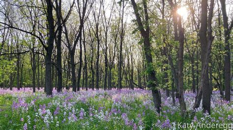 Guest Blog: River Bend Nature Center - Minnesota Trails