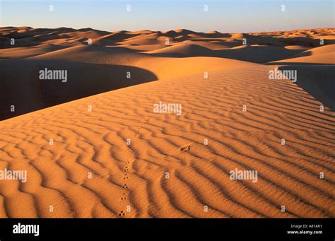 Mauritania desert hi-res stock photography and images - Alamy