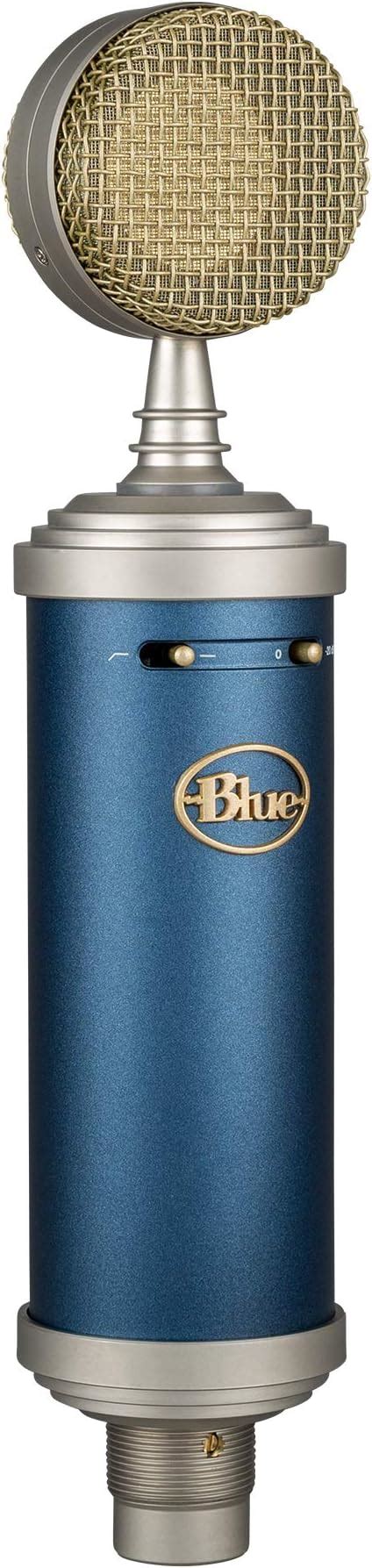 Blue Bluebird SL XLR Cardioid Condenser Microphone for Pro Recording ...