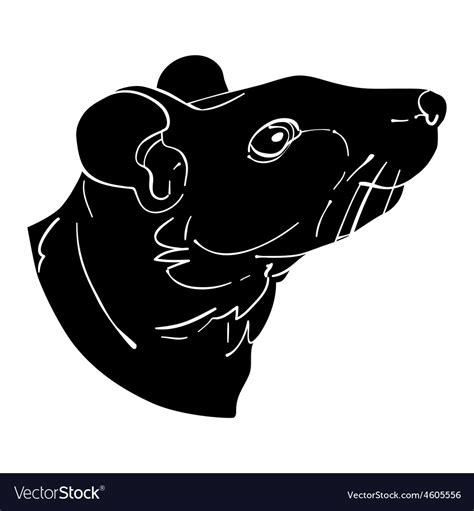 Rat avatar Royalty Free Vector Image - VectorStock