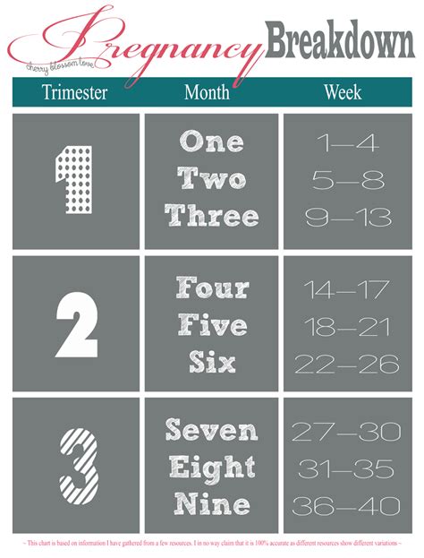 Pregnancy Trimesters Weeks Chart – Calendar Template 2023