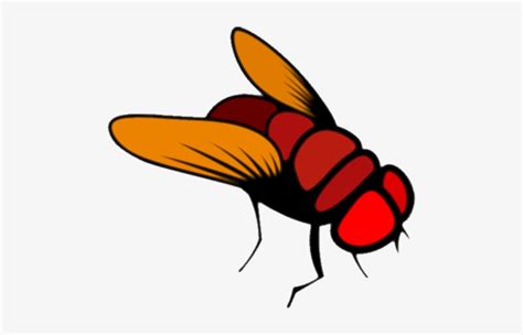 Fly - Fruit Fly Cartoon - Free Transparent PNG Download - PNGkey