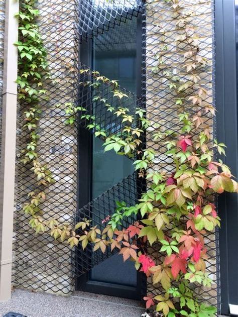 80 Impressive Climber and Creeper Wall Plants Ideas | Vertical garden ...