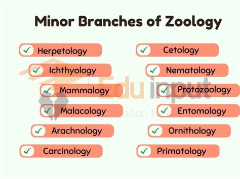 Zoology-History, Branches, Scope, Importance, and Applications