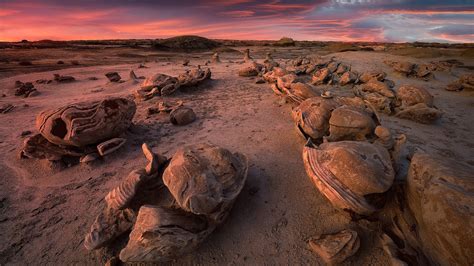 Desert Sand Dunes Under Black Red Cloudy Sky HD Nature Wallpapers | HD Wallpapers | ID #69788