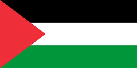 Palestine national football team - Wikipedia