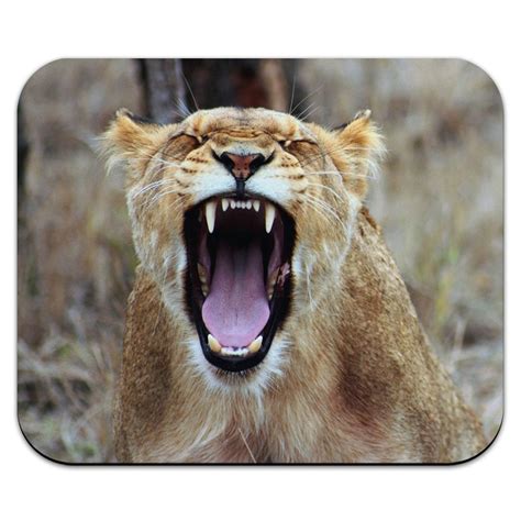 Lioness Roaring - Female Lion Roar Mouse Pad - Walmart.com - Walmart.com