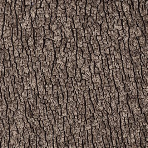 oak tree bark material texture, high detail, high | Stable Diffusion