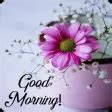 Good Morning Flower Wishes for Android - Download