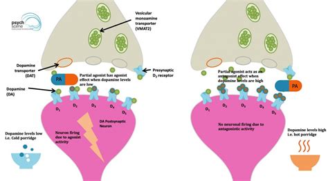 Aripiprazole - Mechanism of Action and Side Effects