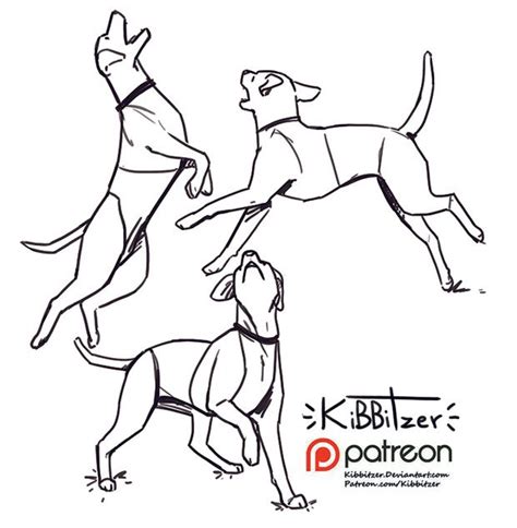 Get more from Kibbitzer on Patreon | Art reference poses, Drawing reference poses, Dog anatomy