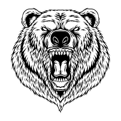 Angry Bear Head Illustration, Angry, Bear, Animal PNG and Vector with Transparent Background for ...