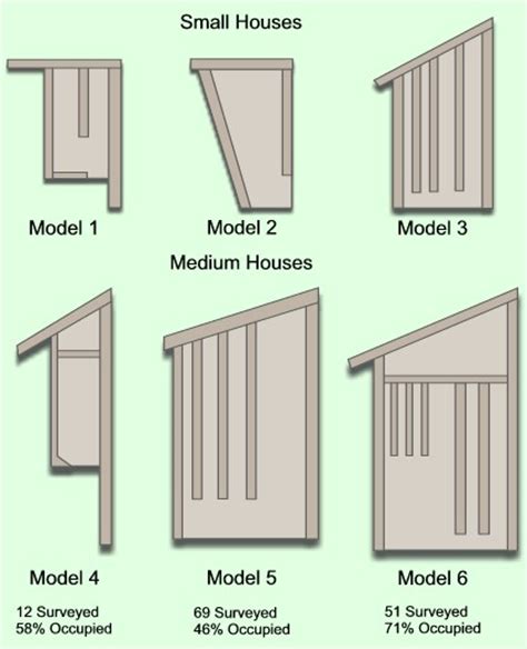 Build Your Own Bat House