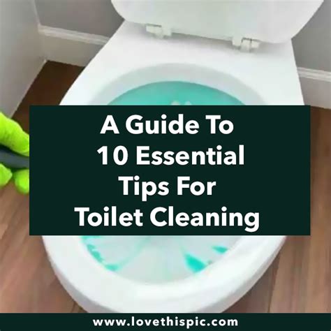 A Guide To 10 Essential Tips For Toilet Cleaning