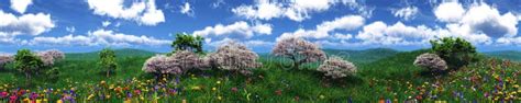 Flower Hills, Spring Landscape of Flowers, Flower Meadow on the Hillside Stock Image - Image of ...