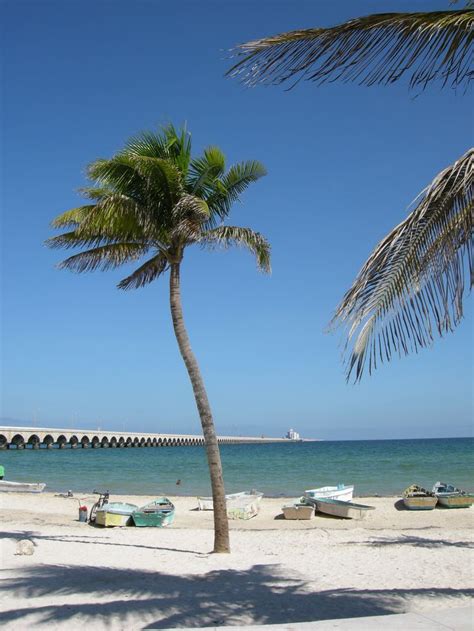 17 Best images about PROGRESO MEXICO on Pinterest | Mexico city ...