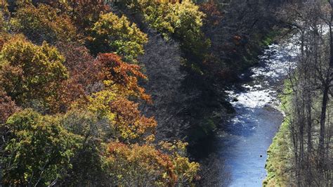 Don't stop be-leafing: Minnesota's best weekend fall color | MPR News