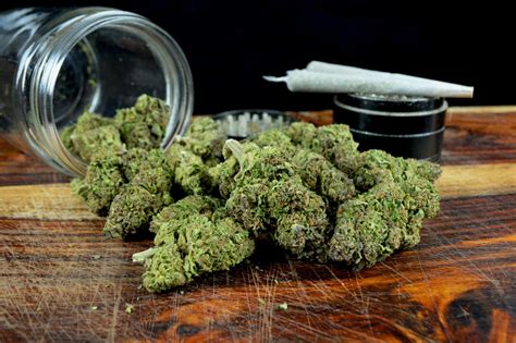 Top Medical Marijuana Strains New Patients Should Know About | Marijuana Doctor