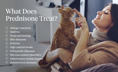 Prednisone For Cats: Treatment & Side Effects | Dutch